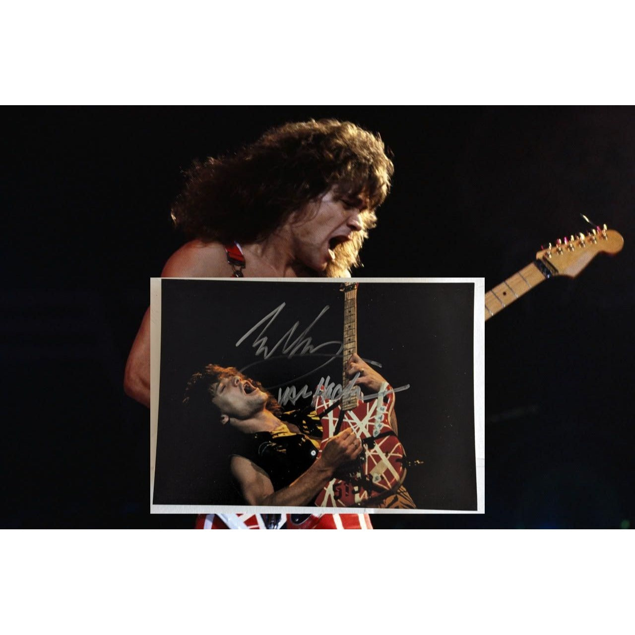 EDDIE VAN HALEN　置物　額　ピック　アート　インテリア　オブジェ EDDIE VAN HALEN 置物 額 ピック アート インテリア オブジェ Singer