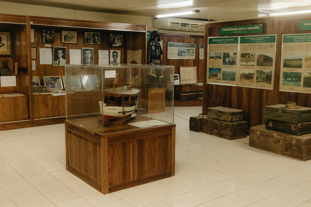 Explore the Mind Behind Collecting Sports Memorabilia.