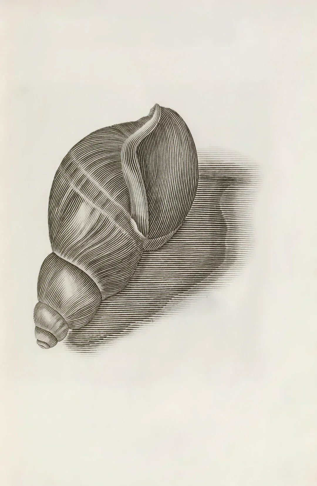 Fan Engagement: How Memorabilia Unites Communities.