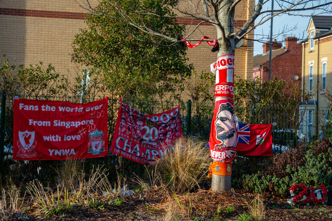 Build a Thriving Community Around Your Memorabilia