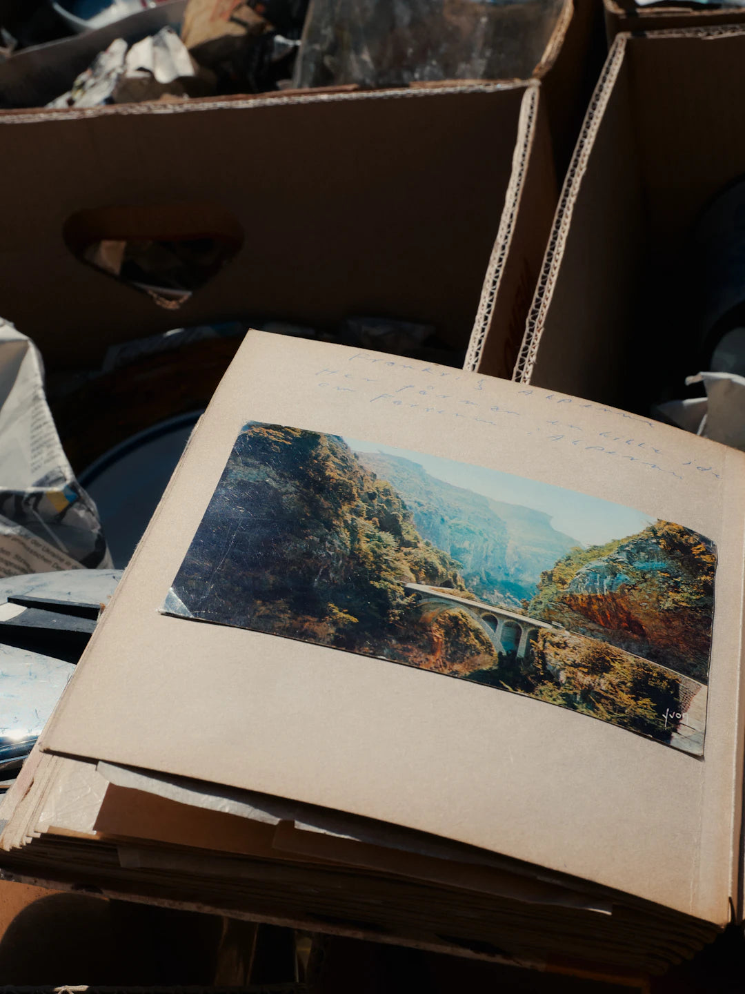 Events that Boost Signed Sports Memorabilia Value