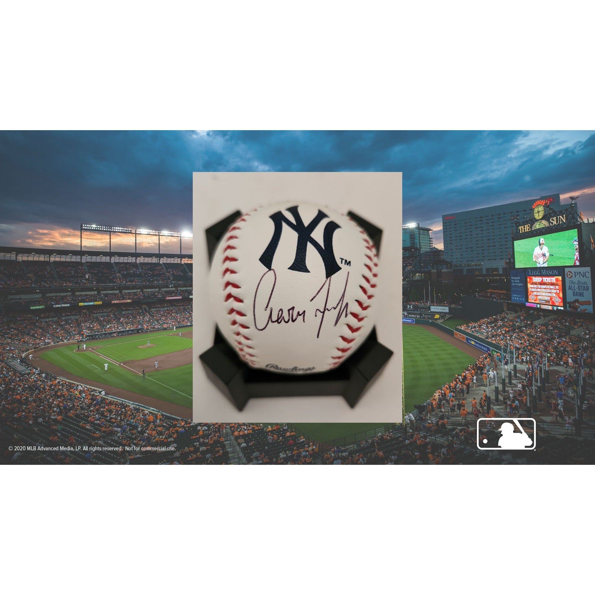 Aaron Judge New York Yankees Rawlings Baseball signed with proof free acrylic display case