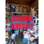 Load image into Gallery viewer, Richard &quot;Cheech&quot; Marin and Tommy Chong MUF DVR metal license plate signed with proof
