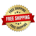 Load image into Gallery viewer, Ozzy Osbourne, Ronnie James Dio, Tony Iommi, Bill Ward, Geezer Butler, Vinnie Appice Black Sabbath Fender Stratocaster guitar pickguard signed with proof
