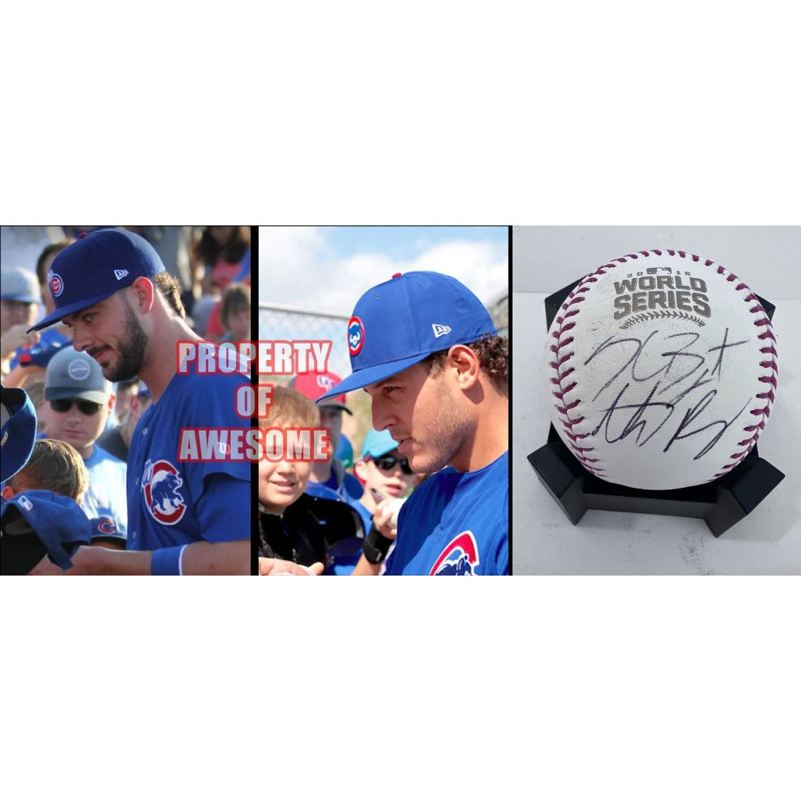 Chicago Cubs 2016 commemorative World Series Baseball Anthony Rizzo and Kris Bryant signed with proof