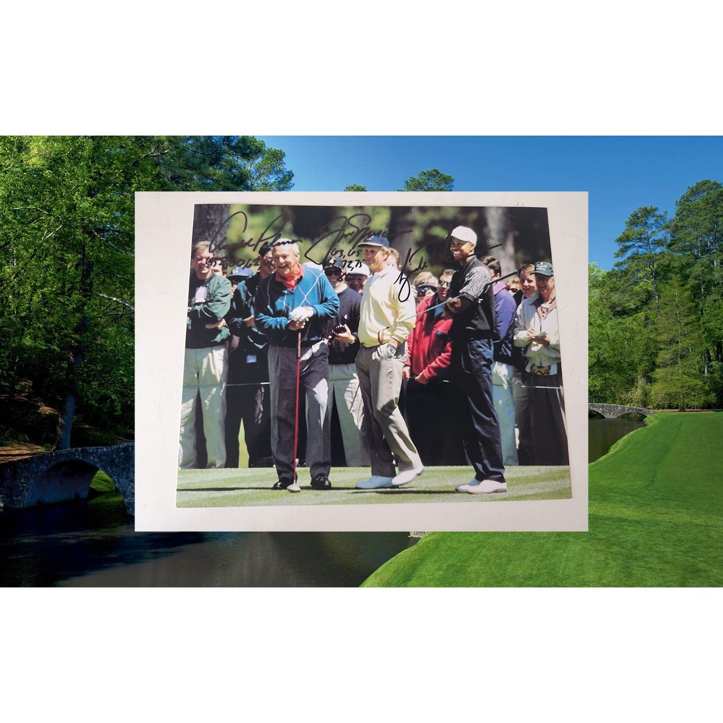 Arnold Palmer Jack Nicklaus Tiger Woods 8x10 photo signed with proof