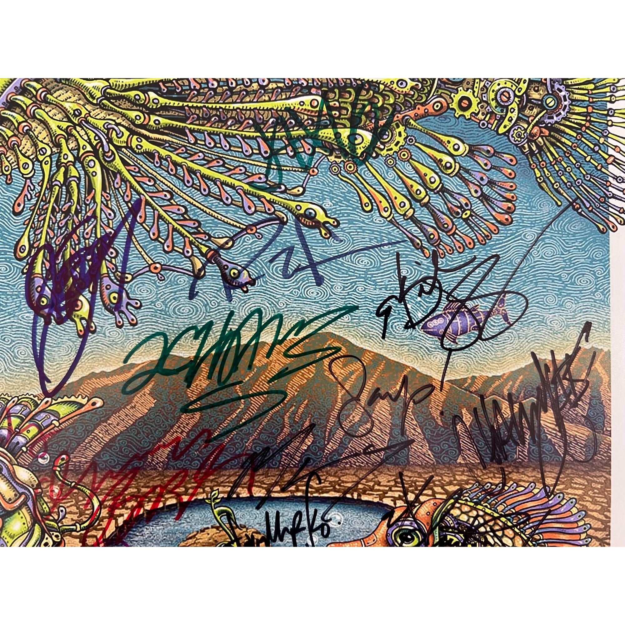 Red Hot Chili Peppers Wu-Tang crew 2013 Coachella Valley 16x20 photo signed with proof