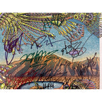 Load image into Gallery viewer, Red Hot Chili Peppers Wu-Tang crew 2013 Coachella Valley 16x20 photo signed with proof
