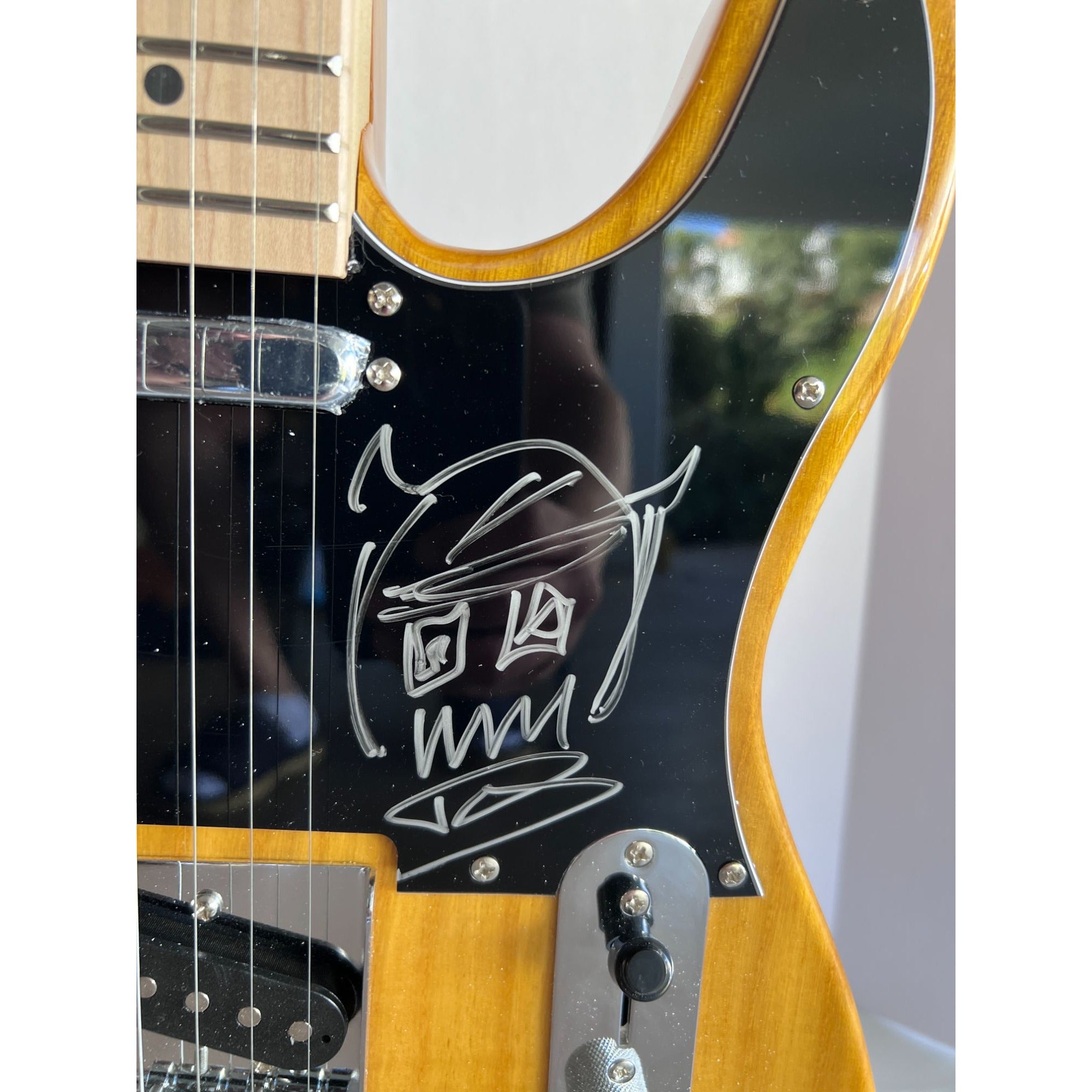 David grohl Taylor Hawkins the Foo Fighters Telecaster full size electric guitars signed with proof