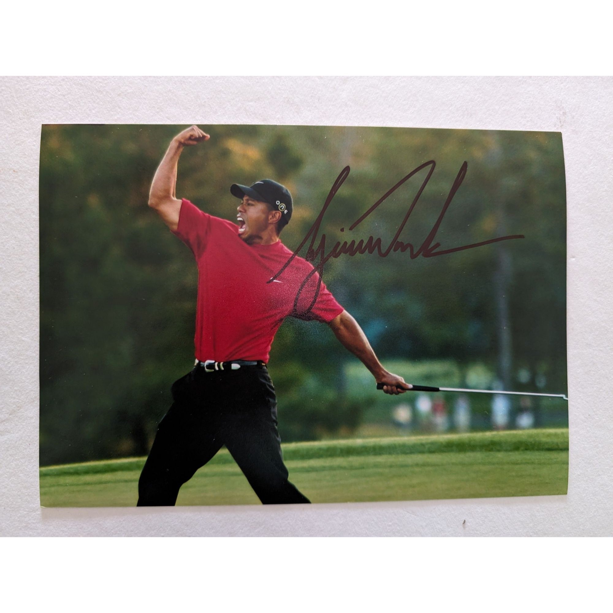 Tiger Woods 5x7 photo signed with proof