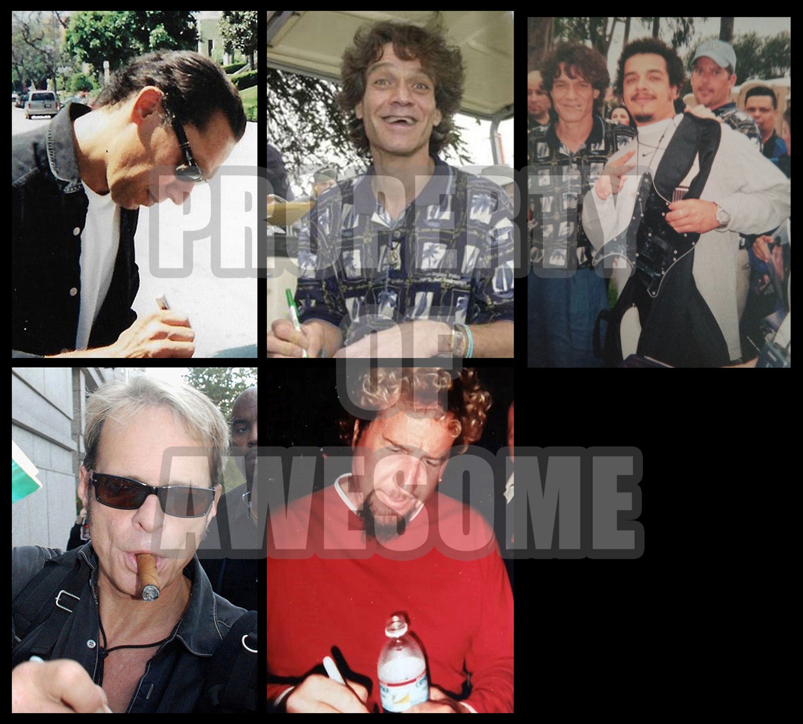 Eddie Van Halen, David Lee Roth, Alex Van Halen, Michael Anthony Fender Stratocaster guitar pickguard signed with proof