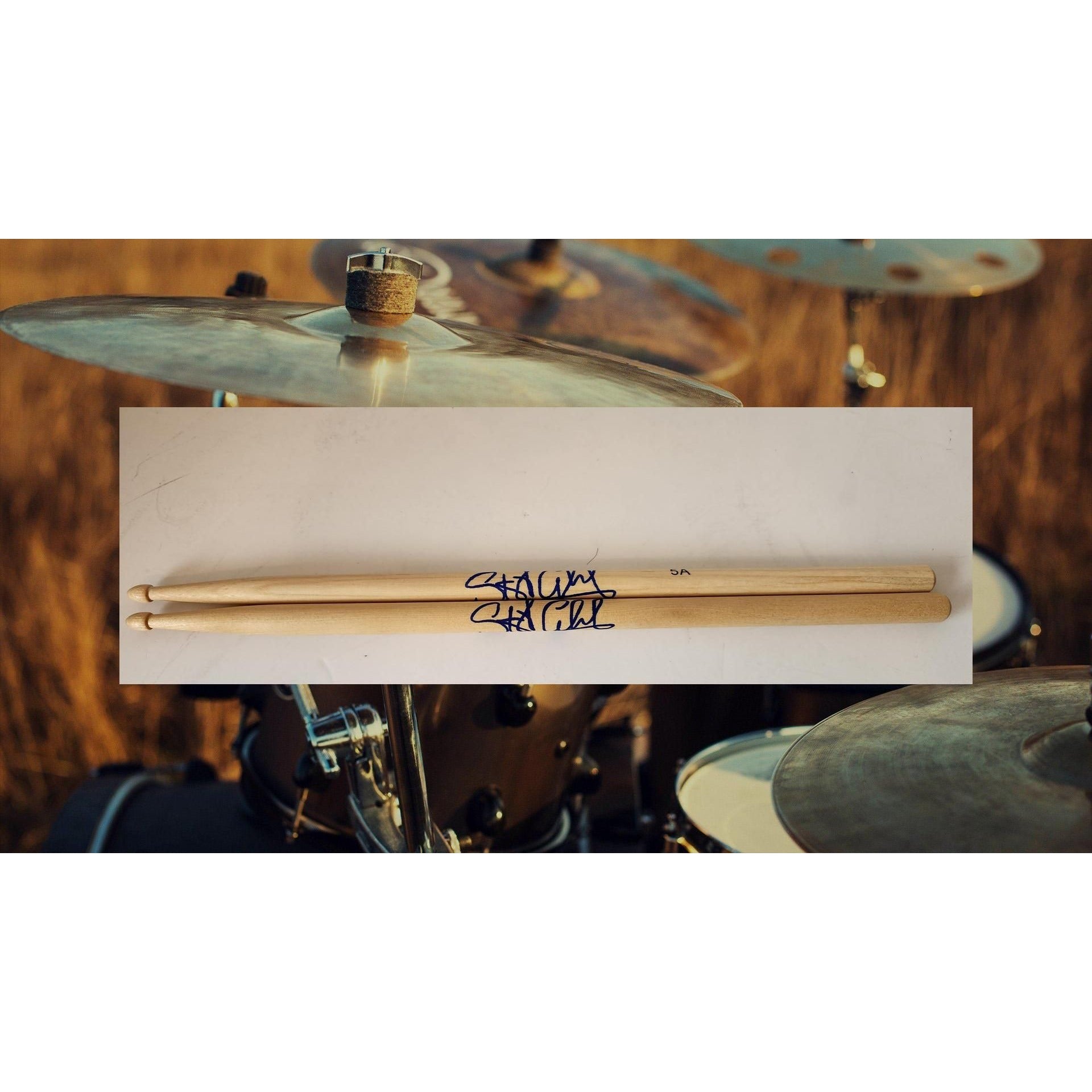 Stewart Copeland of the police Drumstick signed with proof
