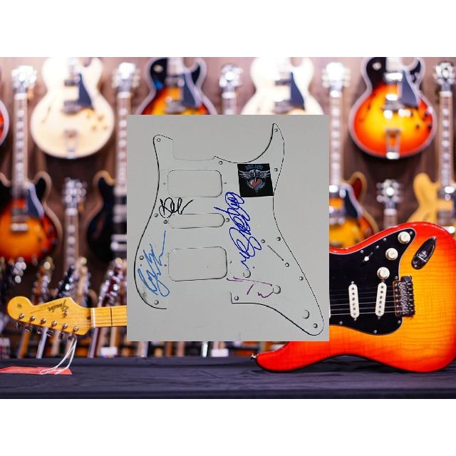 Bon Jovi Richie Sambora Jon Bon Jovi Stratocaster electric pickguard signed with proof