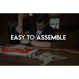 Tony Iommi Ozzy Osbourne Ronnie James Dio Black Sabbath Fender Stratocaster electric pickguard signed with proof