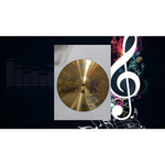 Load image into Gallery viewer, Stevie Nicks Pete Green Lindsay Buckingham John and Christy McVie make Fleetwood Fleetwood Mac cymbal signed with proof
