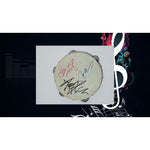 Load image into Gallery viewer, The Police Sting,  Andy Summers, Stewart Copeland 10inch&#39; tambourine signed with proof
