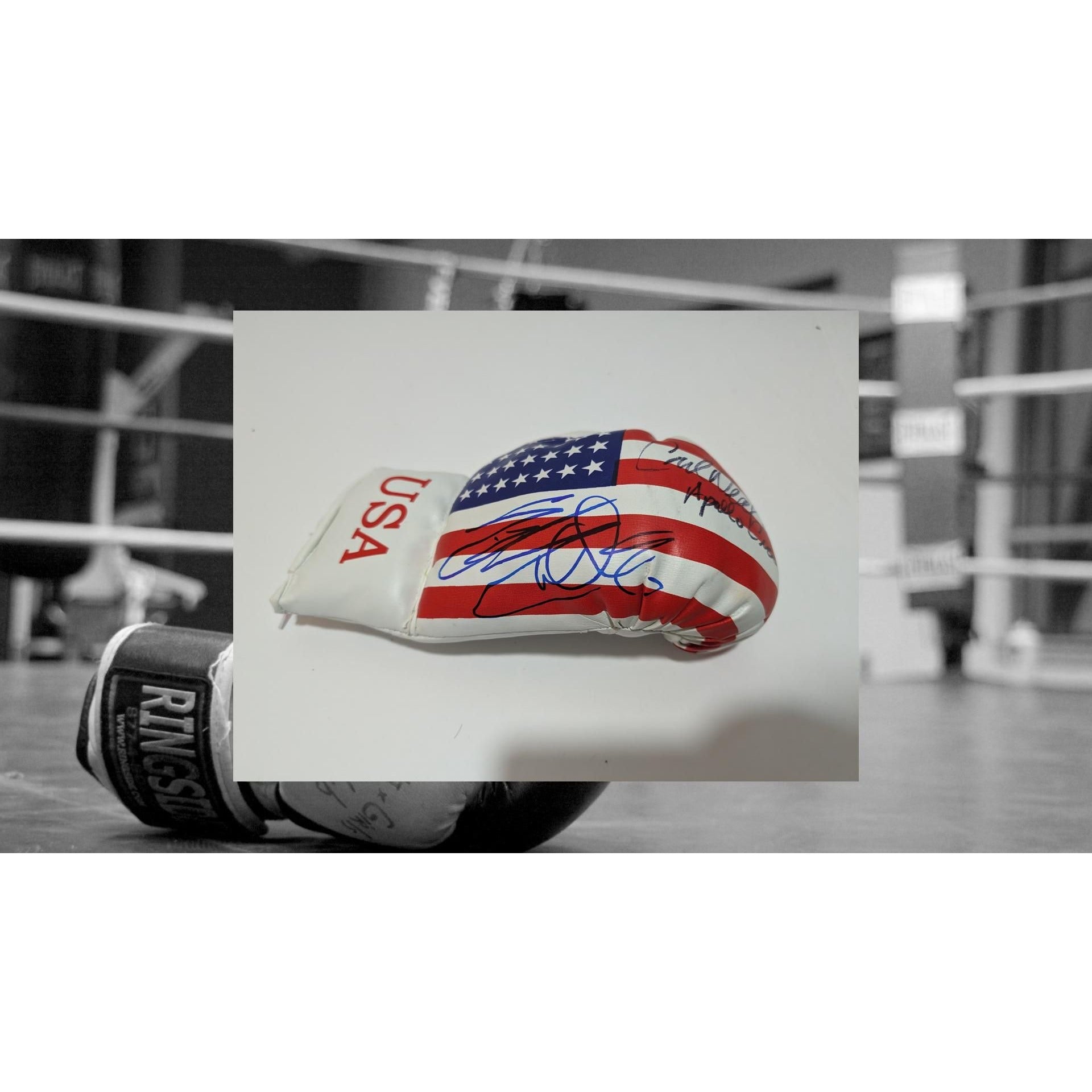 Sylvester Stallone Rocky Balboa and Carl Weathers Apollo Creed USA boxing gloves signed with proof
