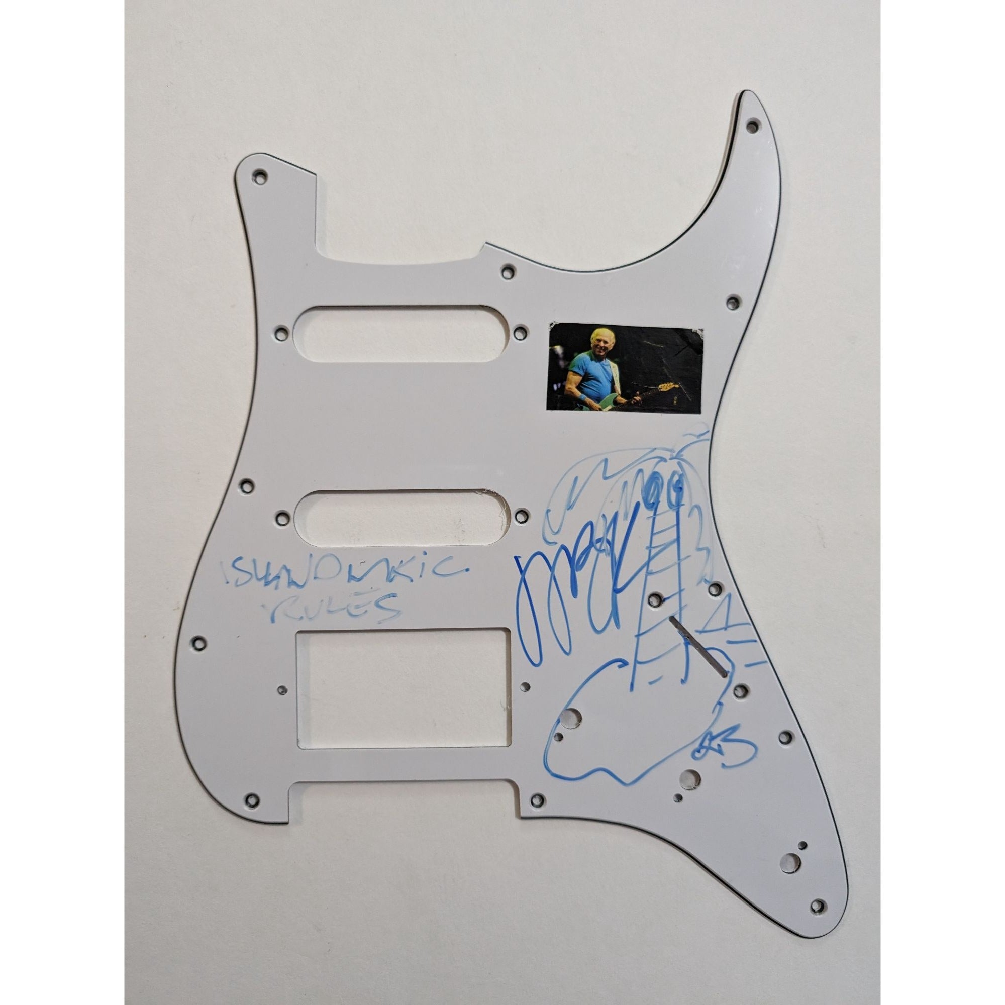 Jimmy Buffett  Stratocaster electric guitar pickguard signed with proof