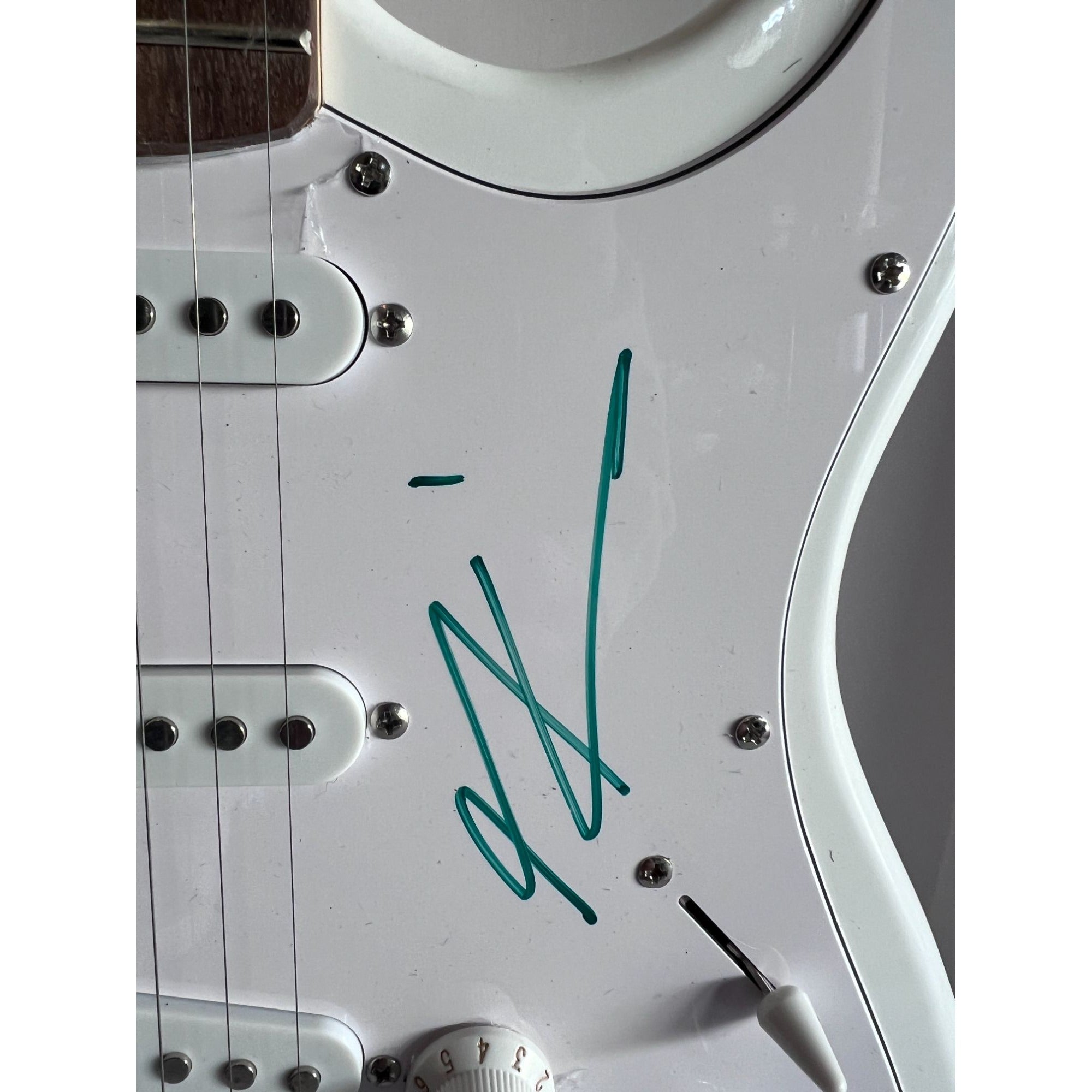 Tool James Maynard Keenan Danny Carey Adam Jones Justin Chancellor full size Stratocaster Electric guitar signed with proof