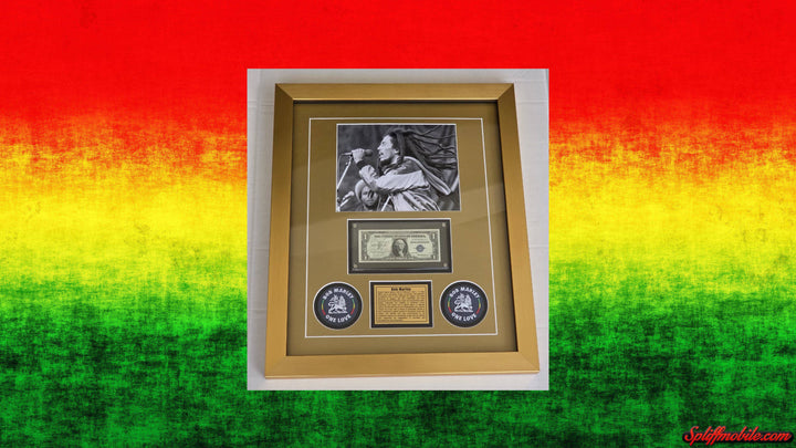 Bob Marley iconic reggae King 1939 silver certificate signed with proof 19x20 Museum quality frame