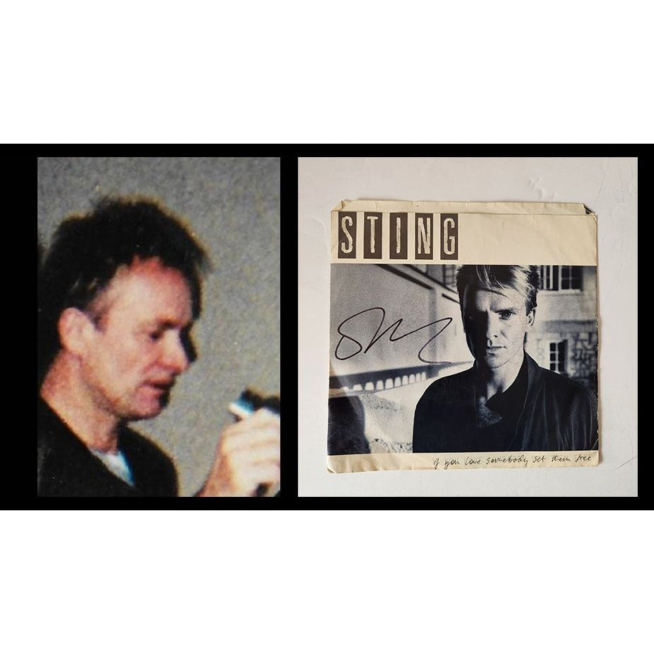 Sting Gordon Sumner 45 If You Love Somebody Set Them Free