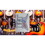 Load image into Gallery viewer, Ian Anderson Jethro Tull Fender Stratocaster electric guitar pickguard signed
