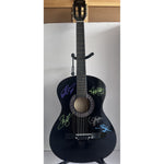 Load image into Gallery viewer, Taylor Swift Shawn Mendez Ed Sheeran Selena Gomez Harry Styles full size acoustic guitar signed with proof
