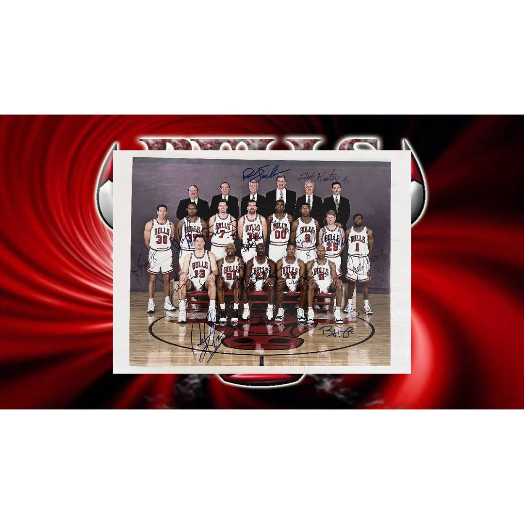 Chicago Bulls Michael Jordan Phil Jackson Scottie Pippen Dennis Rodman NBA champion 16x20 photo signed with proof