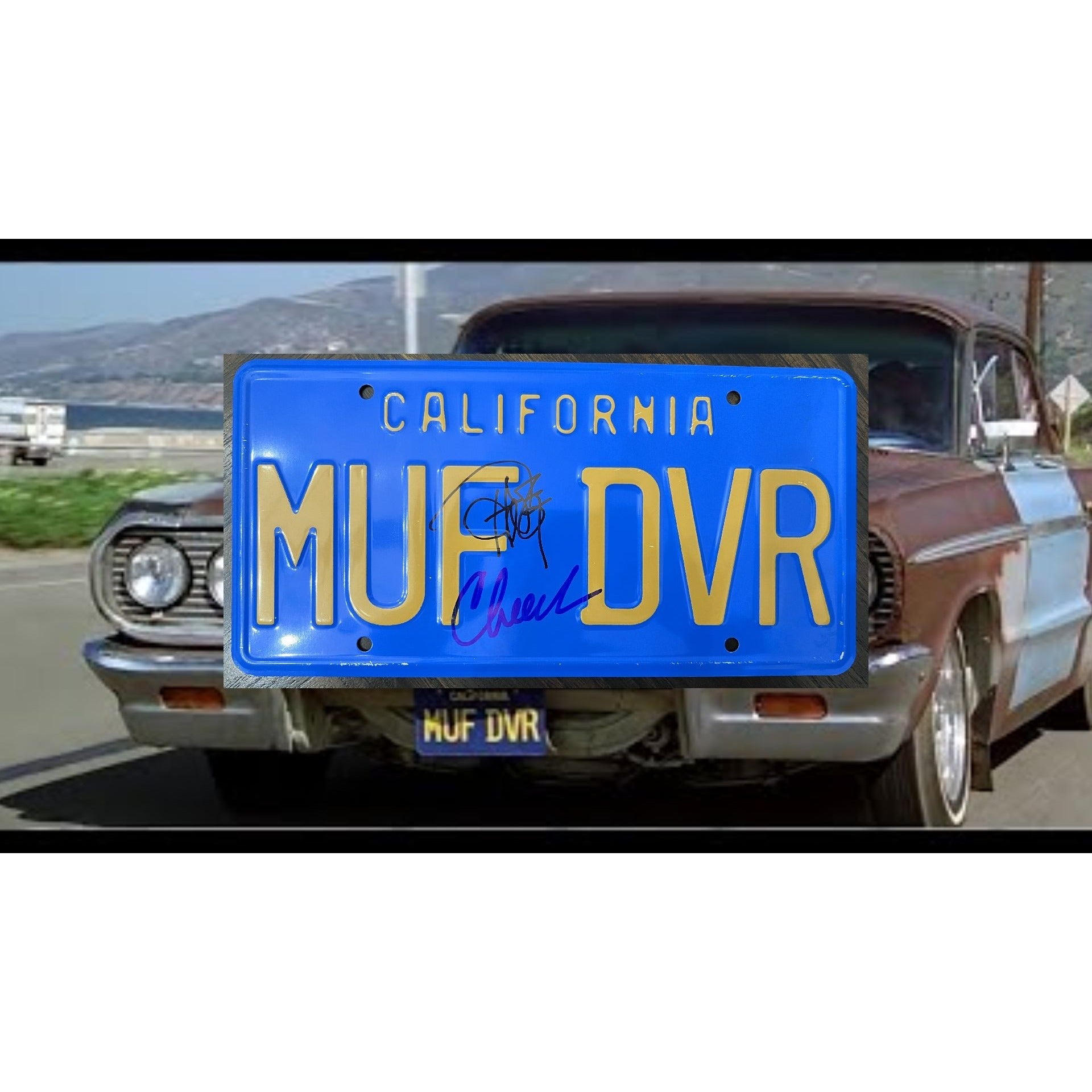 Richard "Cheech" Marin and Tommy Chong MUF DVR metal license plate signed with proof