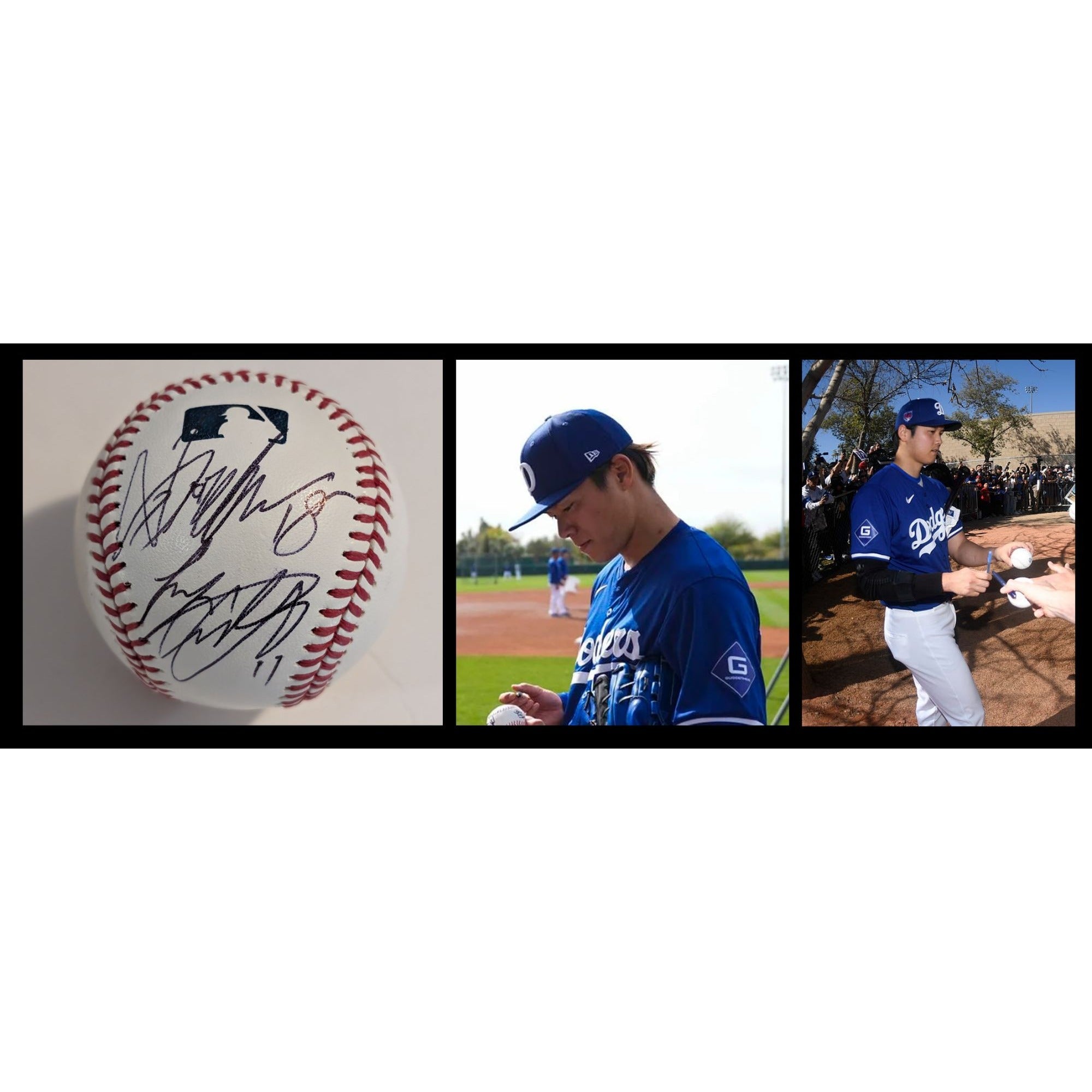 Shohei Ohtani & Yoshinobu Yamamoto Los Angeles Dodgers Rawlings MLB official MLB baseball signed with proof and free display case