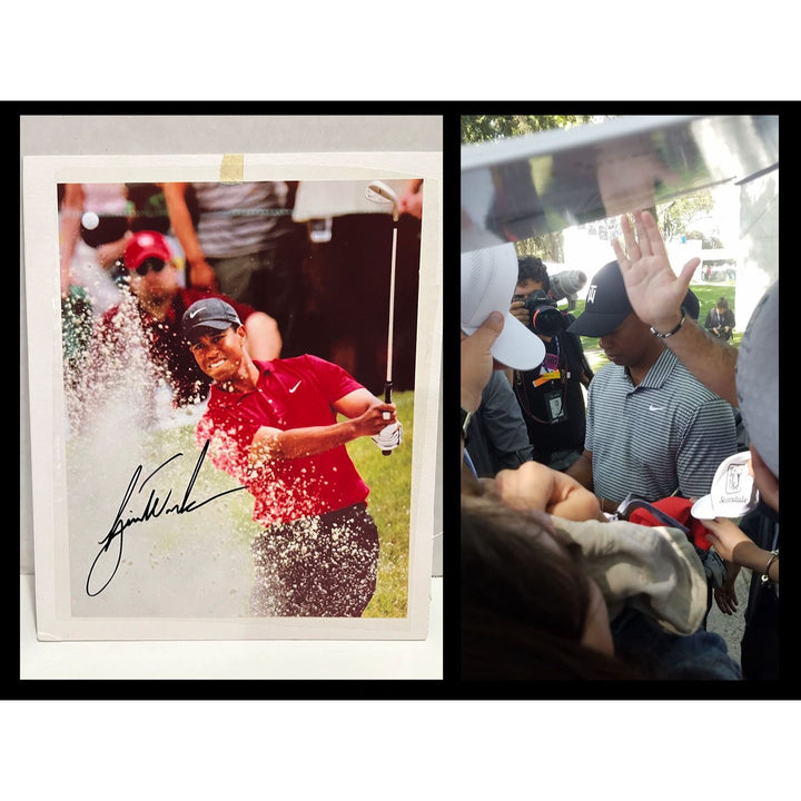 Tiger Woods 8x10 photo signed with proof