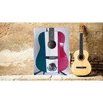 Load image into Gallery viewer, Vicente Fernandez Mexican flag full size acoustic guitar signed with proof
