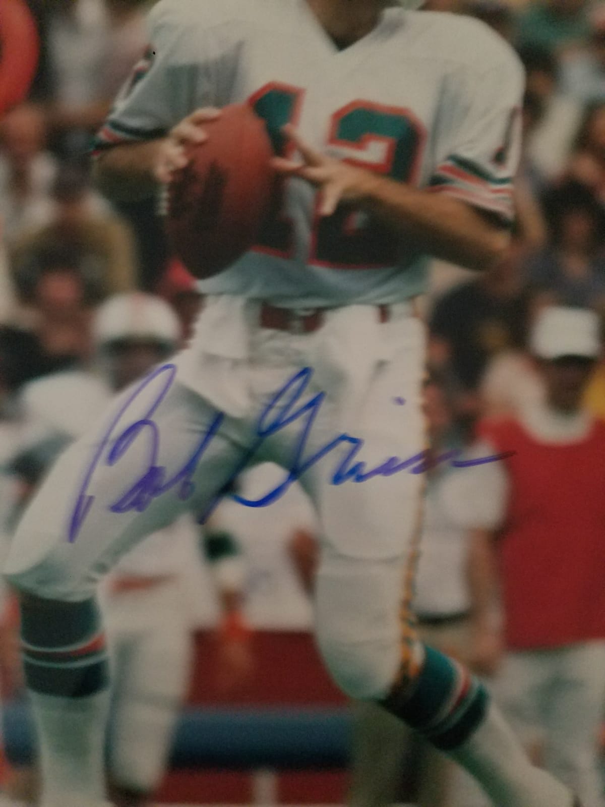 Bob Griese Miami Dolphins Hall of Fame quarterback 8x10 signed with proof