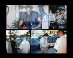 Bruce Springsteen Clarence Clemons and The E Street Band Fender Stratocaster guitar pickguard signed with proof