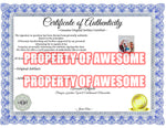 Load image into Gallery viewer, Gwen Stefani No Doubt one-of-a-kind drumhead signed with proof
