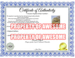 Load image into Gallery viewer, Jimmy Buffett 14-in tambourine signed with proof
