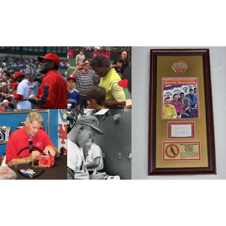 St. Louis Cardinals 1964 Roger Maris,  Tim McCarver, Bob Gibson,  Mike Shannon & Lou Brock 18x33 framed with proof.