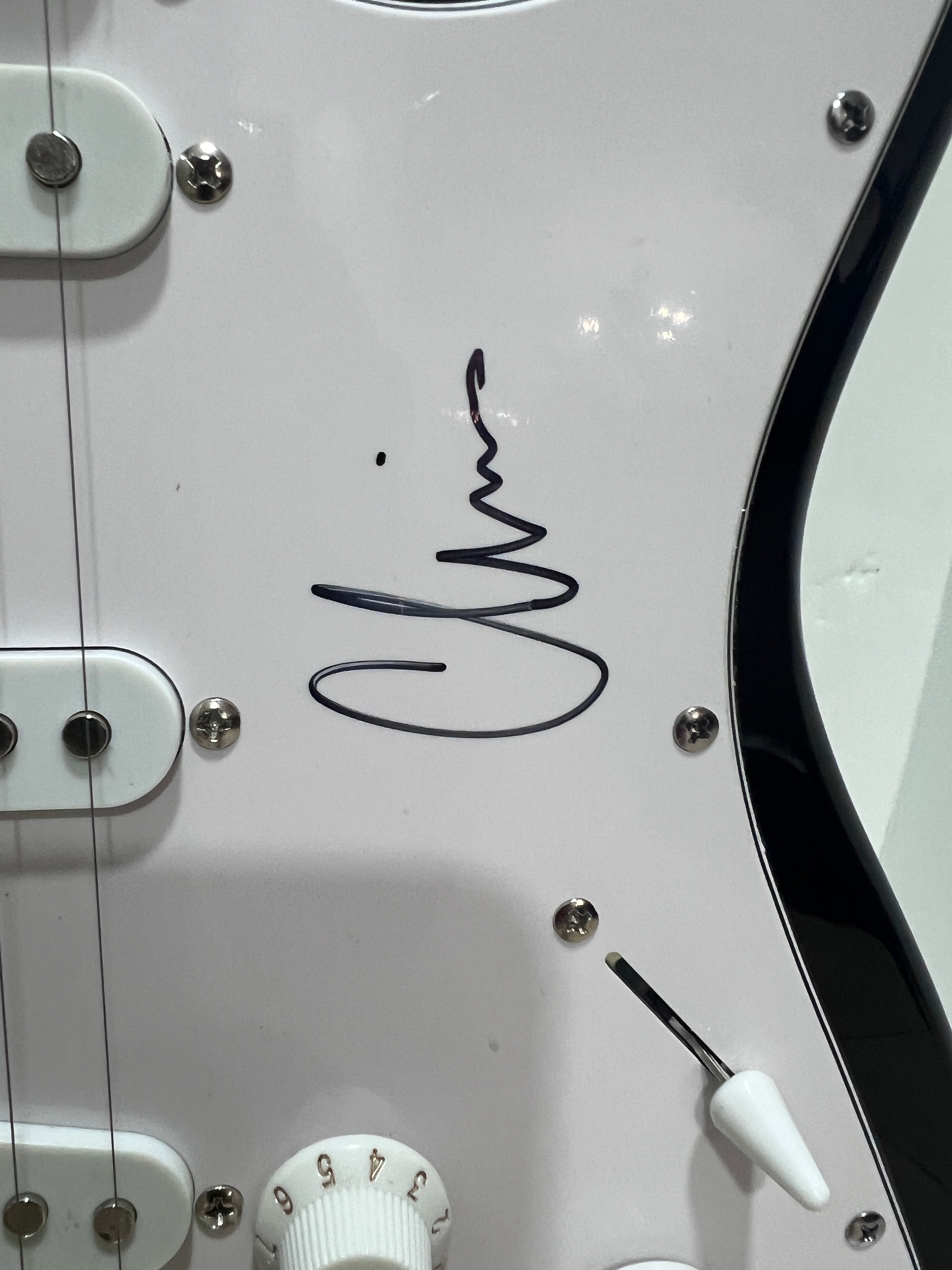 Deftones Chi Cheng, Chino Moreno, Stephen Carpenter, Frank Delgado Stratocaster electric guitar signed with proof