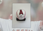 Load image into Gallery viewer, Mike Trout Los Angeles Angels of Anaheim signed baseball with proof
