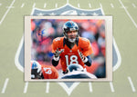 Load image into Gallery viewer, Peyton Manning Denver Broncos 8x10 photo signed with proof (8)
