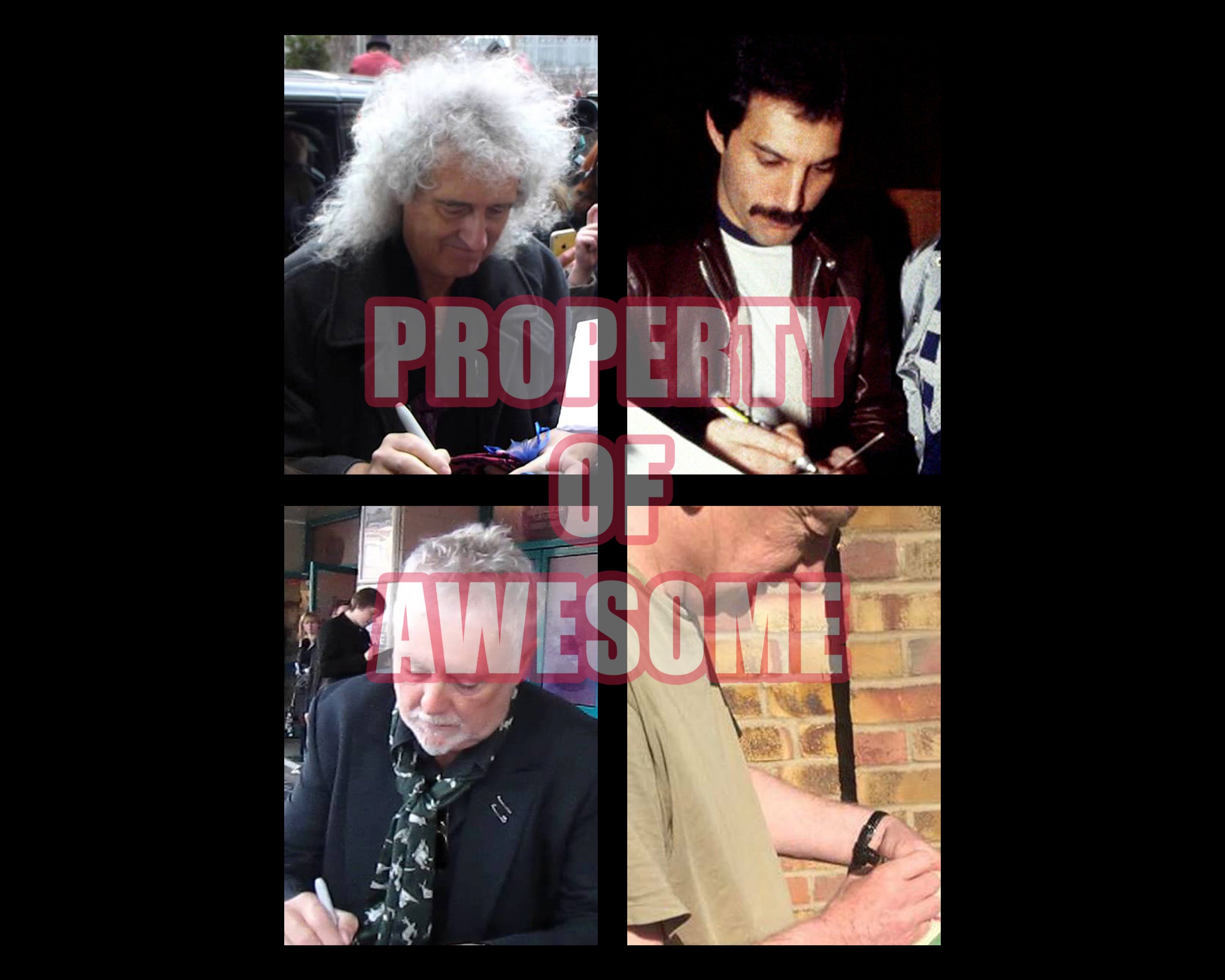 Queen Freddie Mercury, Brian May, John Deacon, Roger Taylor pickguard signed with proof
