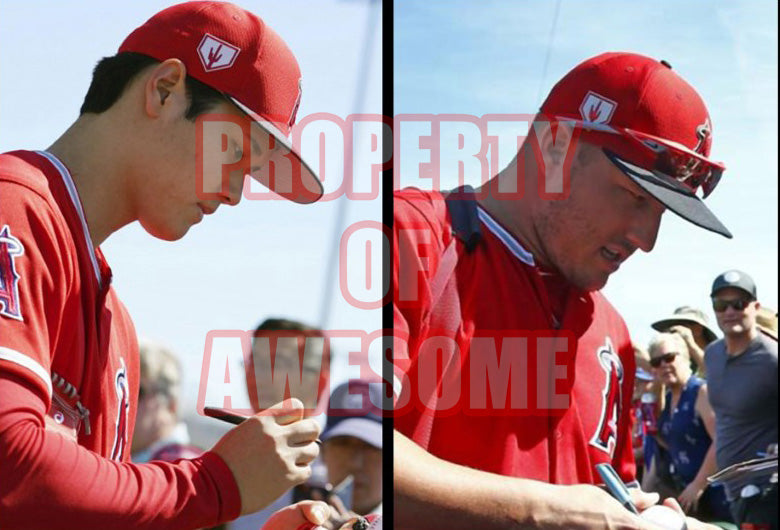 Shohei Ohtani and Mike Trout 16x20 photograph signed with   proof