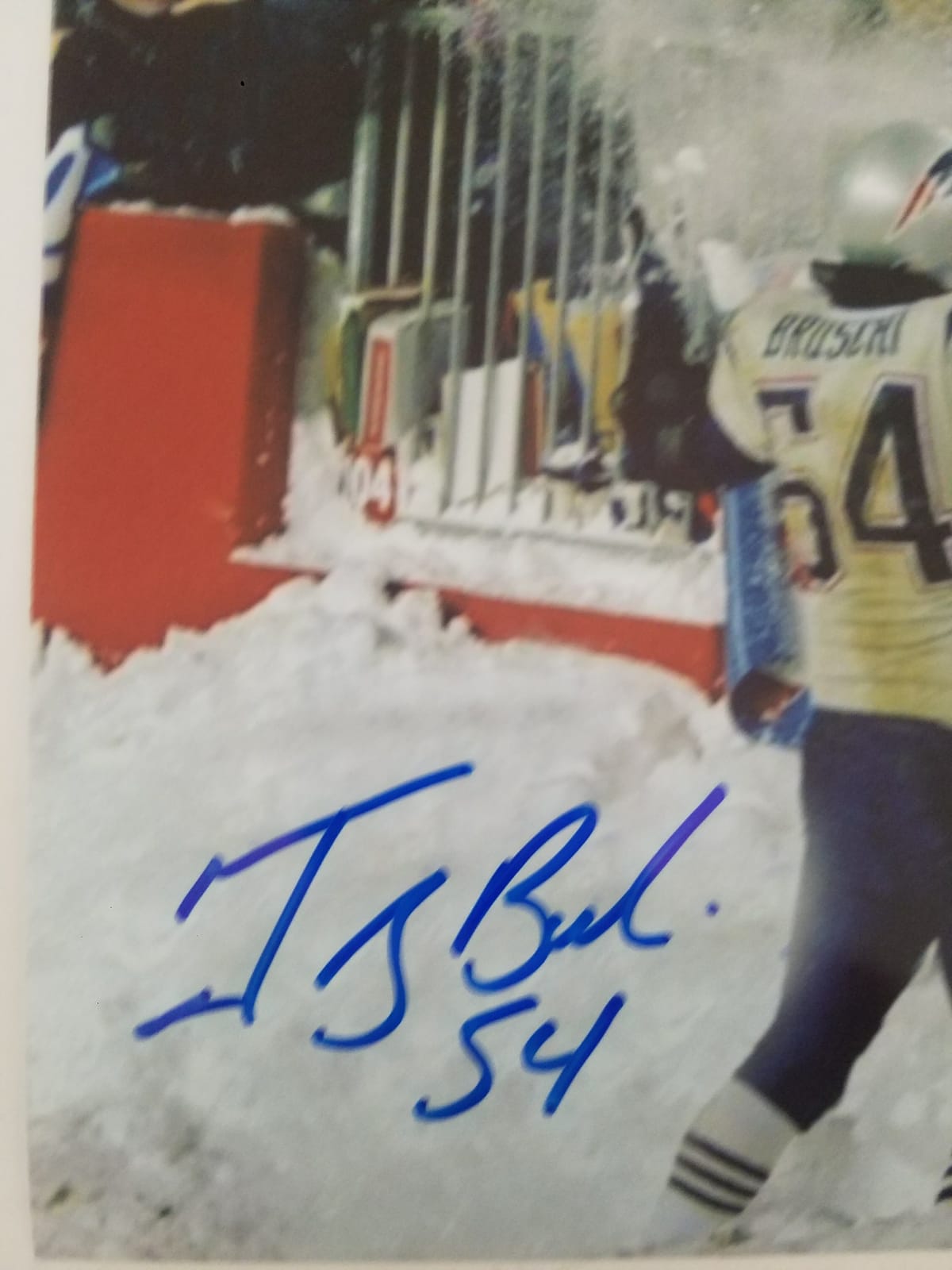 Tedy Bruschi Autograph New England Patriots Jersey