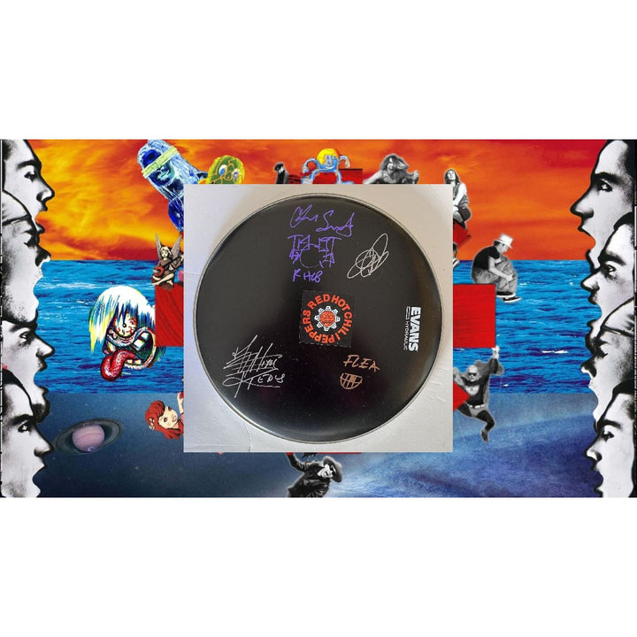 Red Hot Chili Peppers Anthony Kiedis flea Chad Smith John Frusciante 14 inch drum head sign with proof Awesome Artifacts