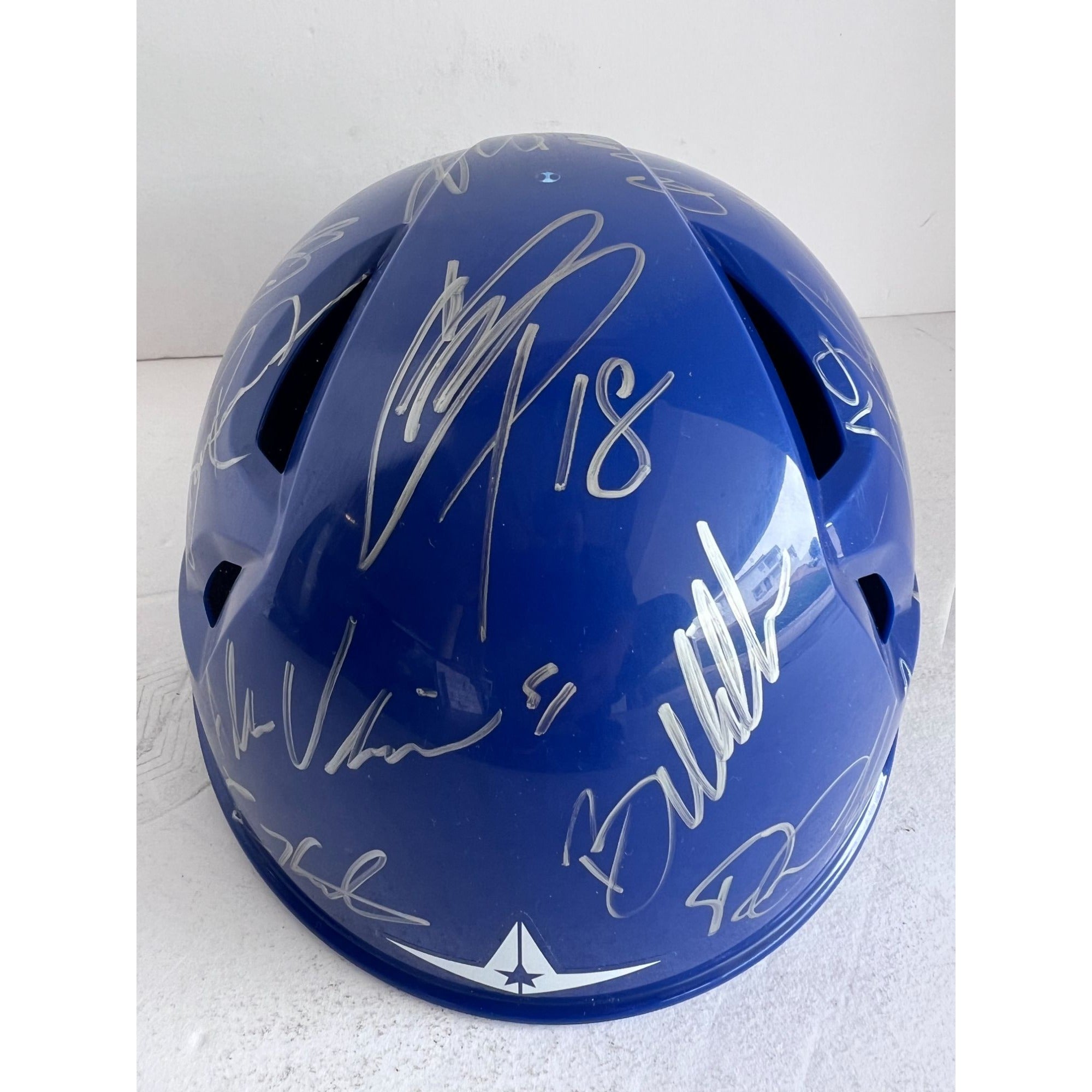 Shohei Ohtani Los Angeles Dodgers batting helmet 2024 team signed with proof