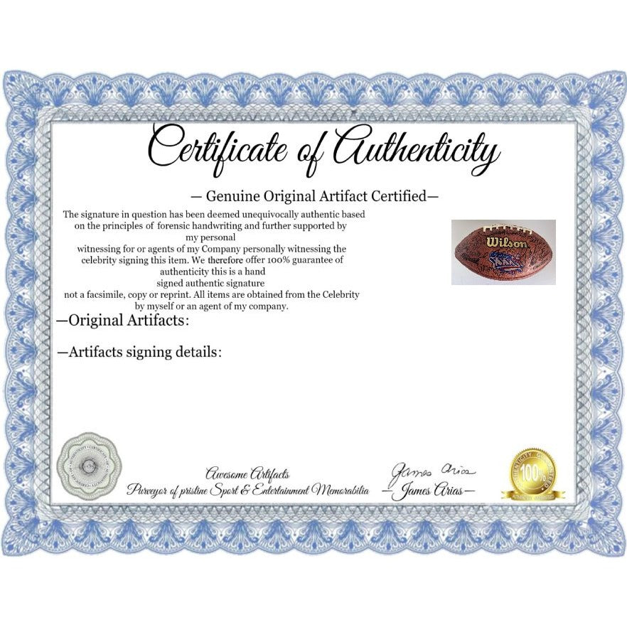 New England Patriots 2001 02 Super Bowl champions NFL Game football (S –  Awesome Artifacts