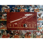 Load image into Gallery viewer, Jameis Winston Florida State Seminoles 2013 14 national champs team signed photo 16 x 20
