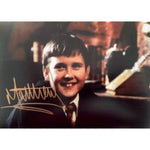 Load image into Gallery viewer, Matthew Lewis Harry Potter 5 x 7 photo signed
