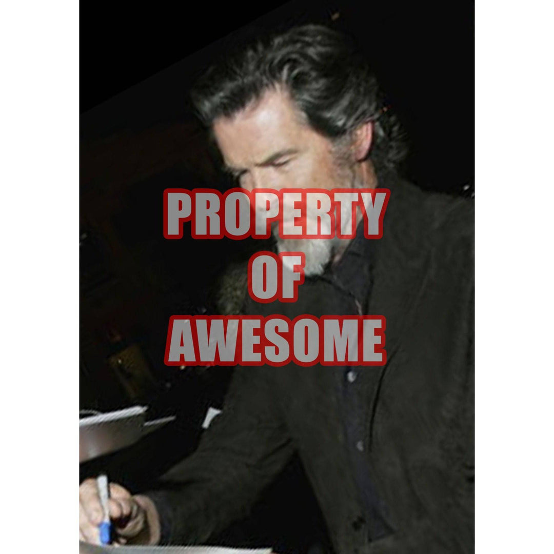 Pierce Brosnan James Bond 007 8 by 10 signed photo with proof