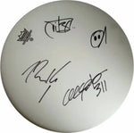 Load image into Gallery viewer, 311 SA Martinez Nick Hexum peanut 14in Remo drumhead signed - Awesome Artifacts 
